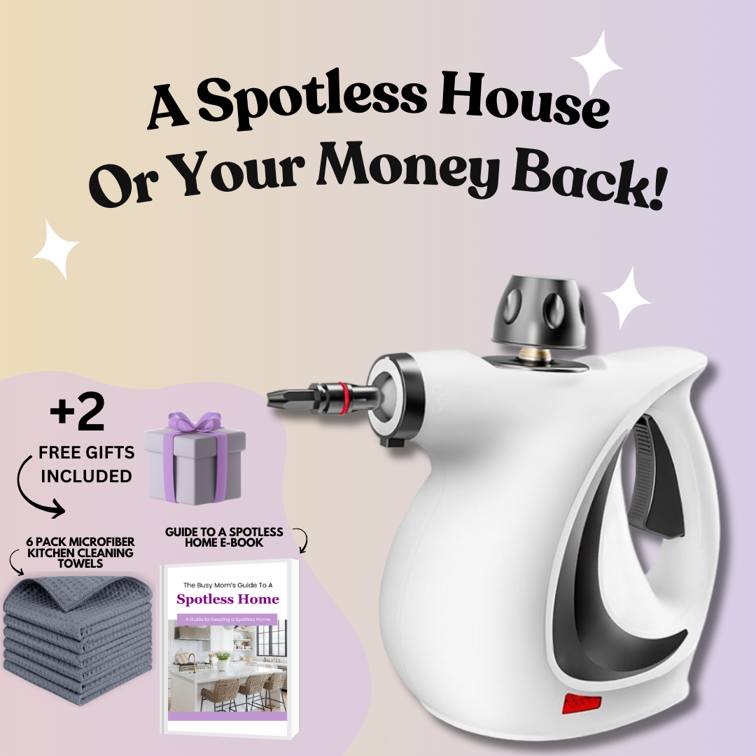 Dusk Natural Steam Cleaner
